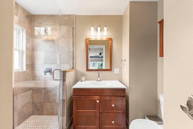 581 Summerdale Ave, Glen Ellyn, IL 60137 - full bath with toilet, vanity, a shower stall, and healthy amount of natural light