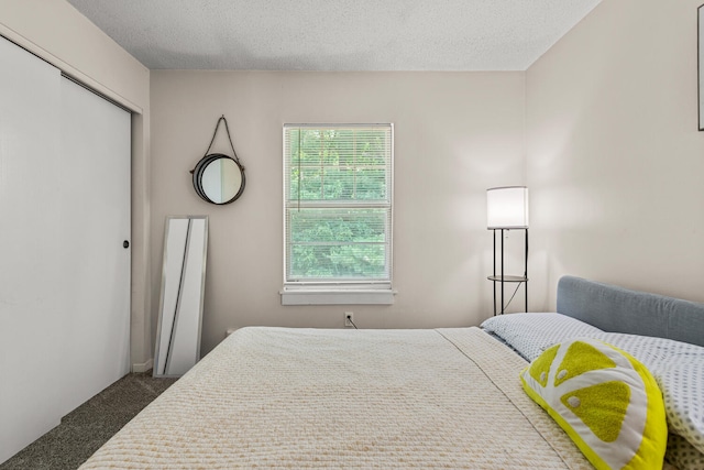 610 English Creek Ct Unit B, Champaign, IL 61821 - bedroom with carpet flooring, a textured ceiling, and a closet