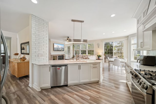 2205 Miramar Ct, Buffalo Grove, IL 60089 - kitchen with stainless steel appliances, a sink, a ceiling fan, light wood finished floors, and recessed lighting