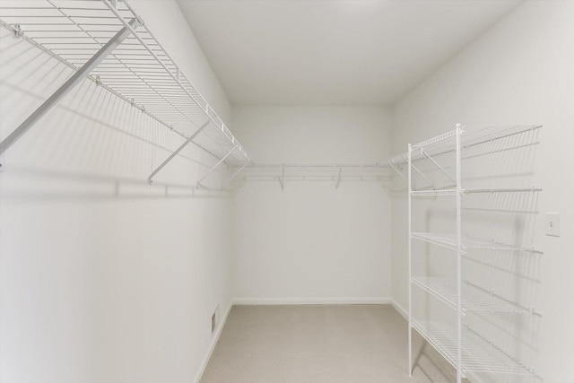 28 Open Pkwy, Hawthorn Woods, IL 60047 - spacious closet with carpet floors