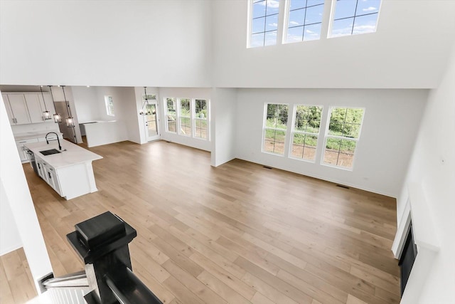 28 Open Pkwy, Hawthorn Woods, IL 60047 - unfurnished living room with a towering ceiling, light wood-style flooring, plenty of natural light, and a sink