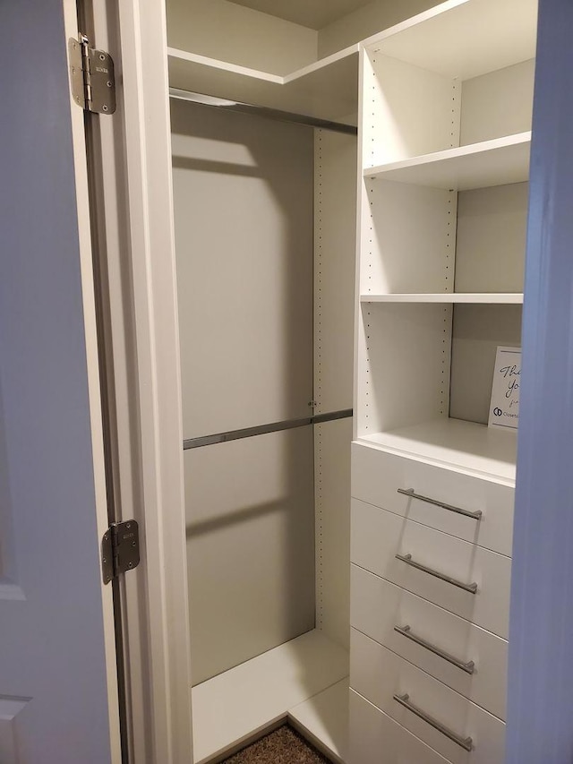 754 Westbury Dr, Cary, IL 60013 - view of spacious closet