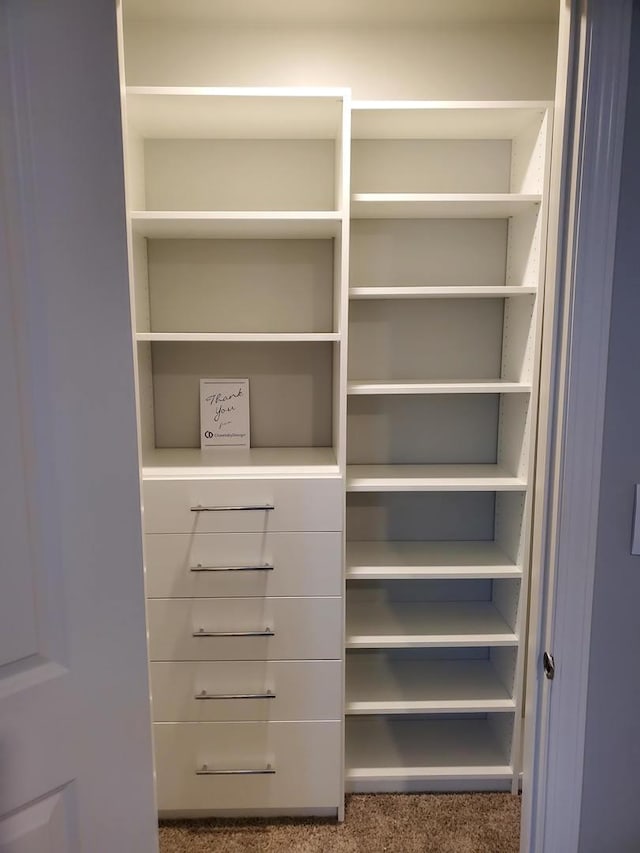 754 Westbury Dr, Cary, IL 60013 - view of closet