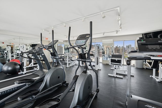 450 W Briar Pl Unit 3K, Chicago, IL 60657 - gym featuring track lighting and a view of skyline