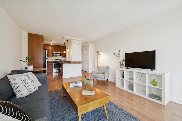 450 W Briar Pl Unit 3K, Chicago, IL 60657 - living area featuring light wood-style floors and baseboards