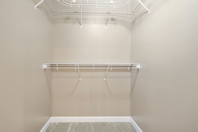 400 Bayview Ave, Naperville, IL 60565 - spacious closet featuring carpet floors