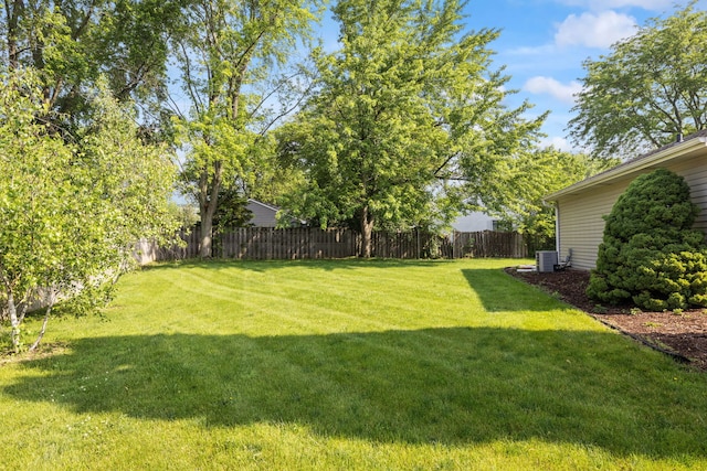 400 Bayview Ave, Naperville, IL 60565 - view of yard with central AC unit
