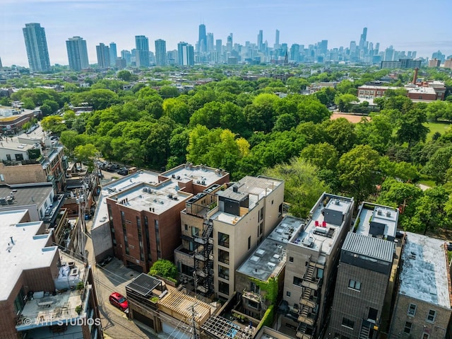 642 W Webster Ave Unit 1, Chicago, IL 60614 - bird's eye view of skyline