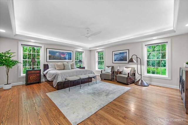 3 Woodley Mnr, Winnetka, IL 60093 - bedroom featuring a raised ceiling, baseboards, wood finished floors, a ceiling fan, and recessed lighting