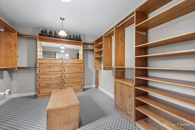 3 Woodley Mnr, Winnetka, IL 60093 - spacious closet with carpet floors
