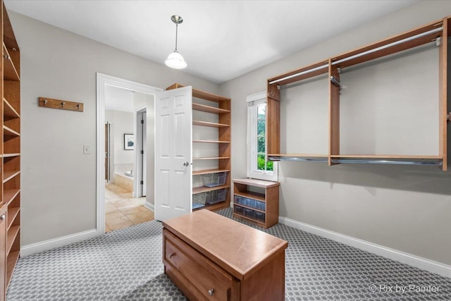 3 Woodley Mnr, Winnetka, IL 60093 - walk in closet with carpet