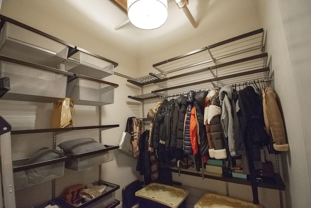 1727 S Indiana Ave Unit 214, Chicago, IL 60616 - view of walk in closet