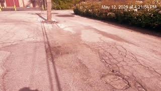 3145 Bernice Rd Unit 4, Lansing, IL 60438 - view of road
