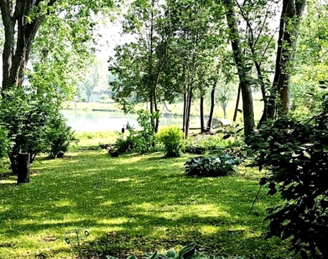 1602 Nightengale Cir, Lindenhurst, IL 60046 - view of green lawn featuring a water view