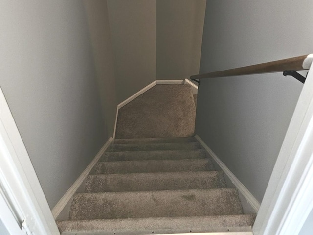 1602 Nightengale Cir, Lindenhurst, IL 60046 - stairway with baseboards and carpet