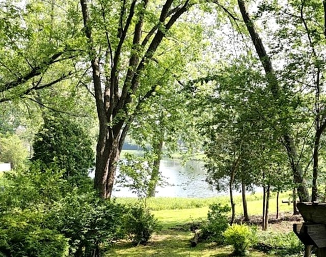 1602 Nightengale Cir, Lindenhurst, IL 60046 - water view