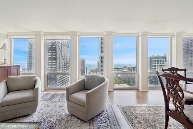 111 E Chestnut St Unit 39C, Chicago, IL 60611 - living area with wood finished floors and a view of city