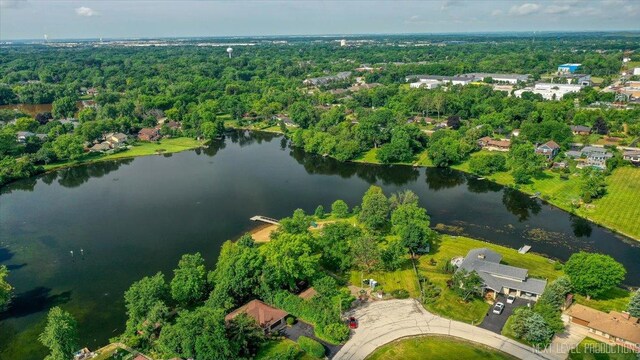 8132 Fairmount Ave, Downers Grove, IL 60516 - photo 33