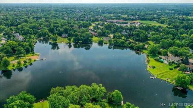 8132 Fairmount Ave, Downers Grove, IL 60516 - photo 35