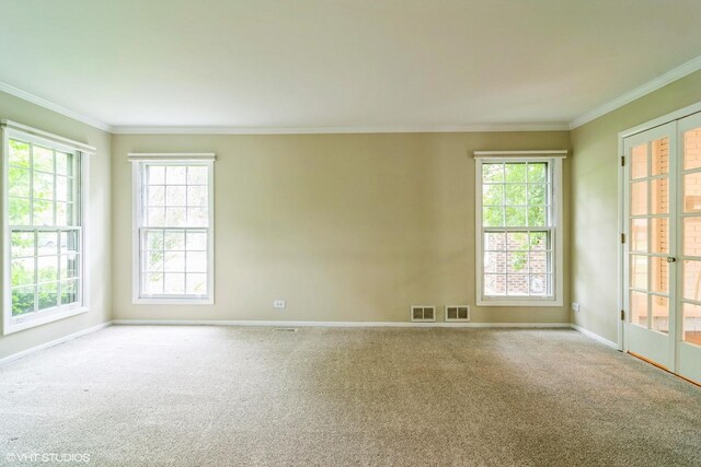 1921 E Peachtree Ln, Arlington Heights, IL 60004 - empty room with ornamental molding, baseboards, carpet flooring, and healthy amount of natural light