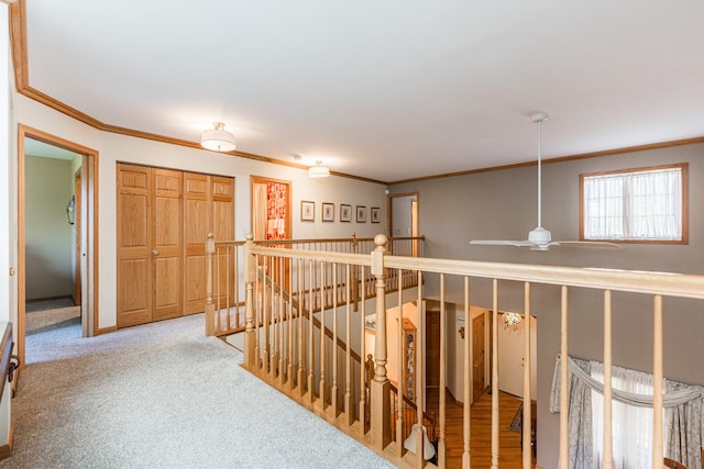 1607 Park Point, Ridge Point, Park Ridge, IL 60068 - hallway featuring an upstairs landing, crown molding, and light colored carpet