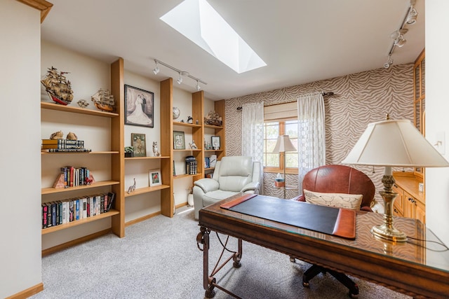 1607 Park Point, Ridge Point, Park Ridge, IL 60068 - carpeted office featuring rail lighting, a skylight, wallpapered walls, and baseboards