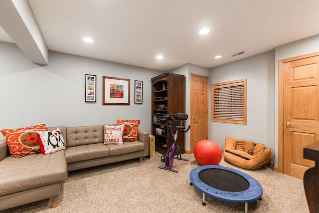 1607 Park Point, Ridge Point, Park Ridge, IL 60068 - living area featuring carpet floors and recessed lighting