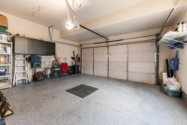 1607 Park Point, Ridge Point, Park Ridge, IL 60068 - view of garage