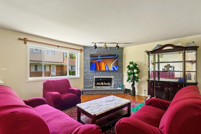 419 Glenshire Rd, Glenview, IL 60025 - living area featuring wood finished floors, a stone fireplace, and track lighting