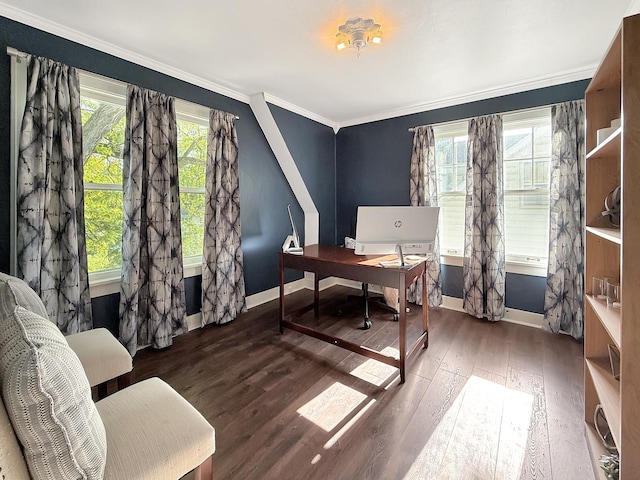 1351 W Stover St, Freeport, IL 61032 - office space featuring baseboards, plenty of natural light, wood finished floors, and ornamental molding
