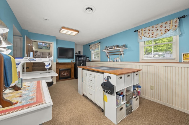 175 N Dogwood St, Cortland, IL 60112 - office area with wainscoting and light colored carpet