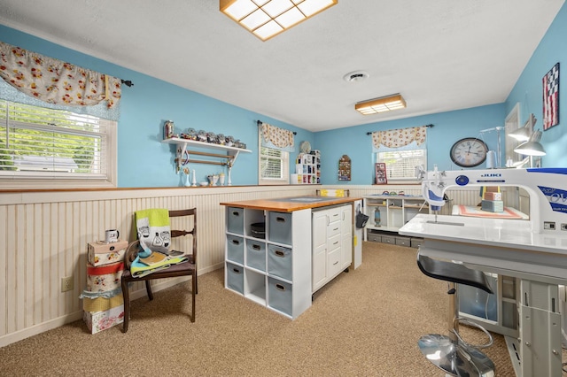 175 N Dogwood St, Cortland, IL 60112 - office area with carpet floors and wainscoting