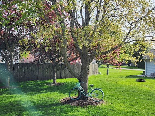 175 N Dogwood St, Cortland, IL 60112 - view of yard