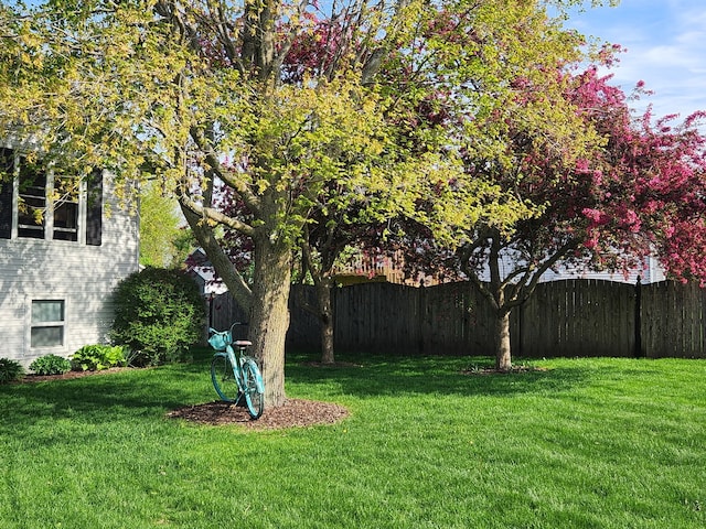 175 N Dogwood St, Cortland, IL 60112 - view of yard