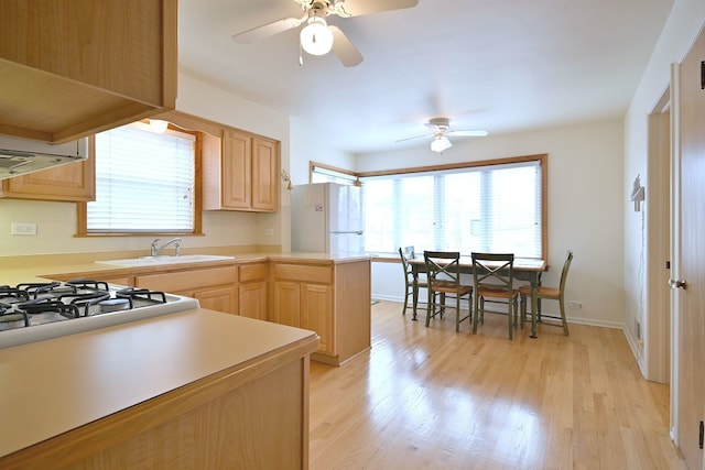 7513 W Isham Ave, Chicago, IL 60631 - kitchen with a sink, light brown cabinets, and ceiling fan