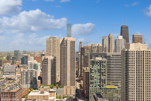 300 N State St Unit 4930, Chicago, IL 60654 - skyline view