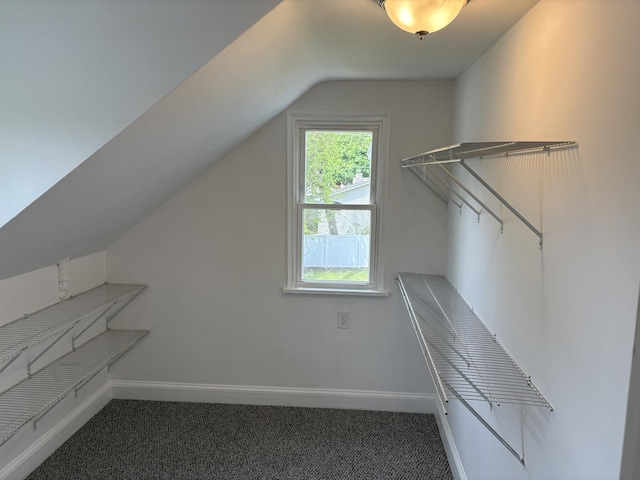 926 Park Ave, Winthrop Harbor, IL 60096 - spacious closet with lofted ceiling and carpet flooring