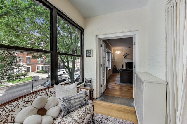 5143 S Greenwood Ave Unit 1, Chicago, IL 60615 - view of sunroom