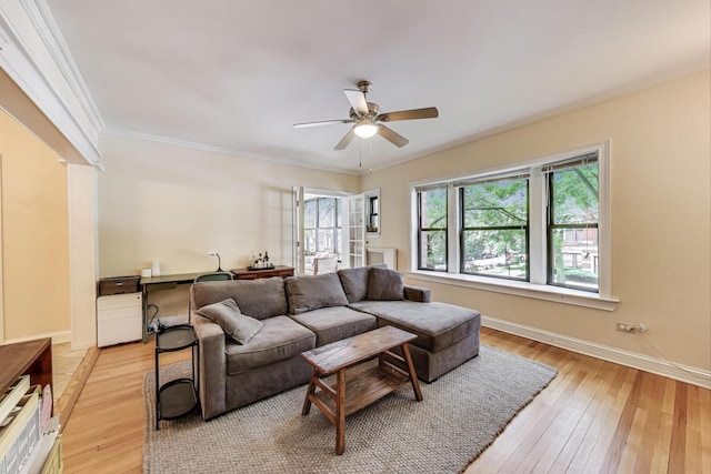 5143 S Greenwood Ave Unit 1, Chicago, IL 60615 - living room featuring plenty of natural light, light wood-style floors, a ceiling fan, ornamental molding, and a desk