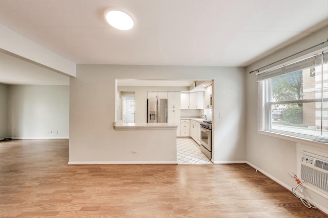 6478 N NW Hwy Unit 1, Chicago, IL 60631 - unfurnished living room featuring light wood-type flooring, a sink, baseboards, and an AC wall unit