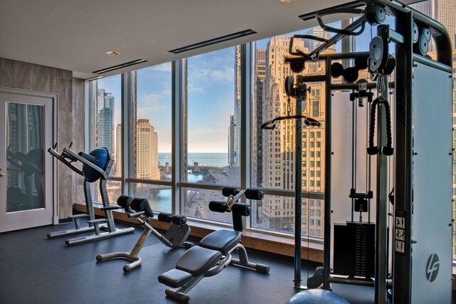 401 N Wabash Ave Unit 51C, Chicago, IL 60611 - gym featuring a wall of windows, a city view, and a water view