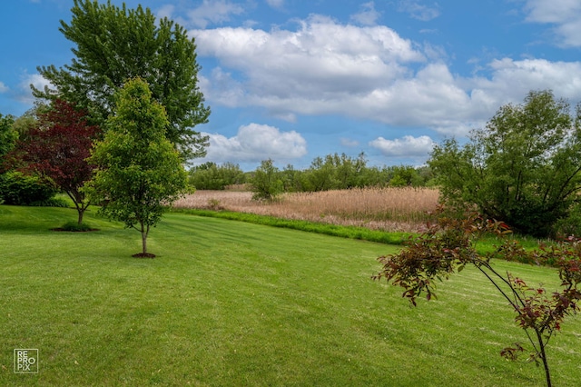 820 N Dexter Ln, Hoffman Estates, IL 60169 - view of grassy yard