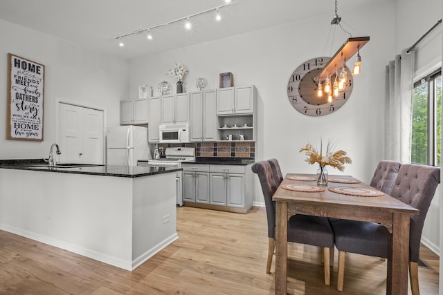 5 Cobblestone Ct Unit C, Palos Hills, IL 60465 - kitchen with white appliances, light wood finished floors, rail lighting, a sink, and decorative backsplash