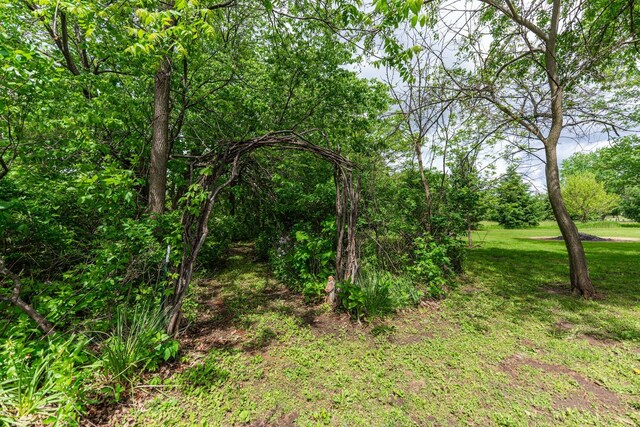 310 N Oak Ln, Dixon, IL 61021 - view of nature