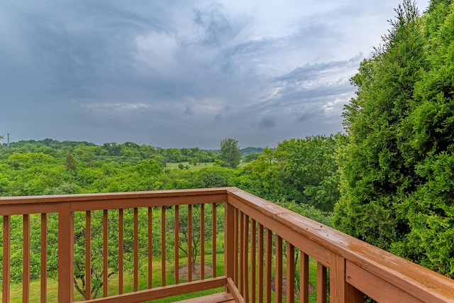 1446 W Remington Ln, Round Lake, IL 60073 - photo 27