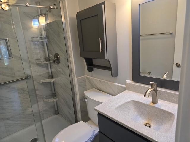 4739 W 105th Pl Unit 101, Oak Lawn, IL 60453 - full bath featuring vanity, a stall shower, and toilet