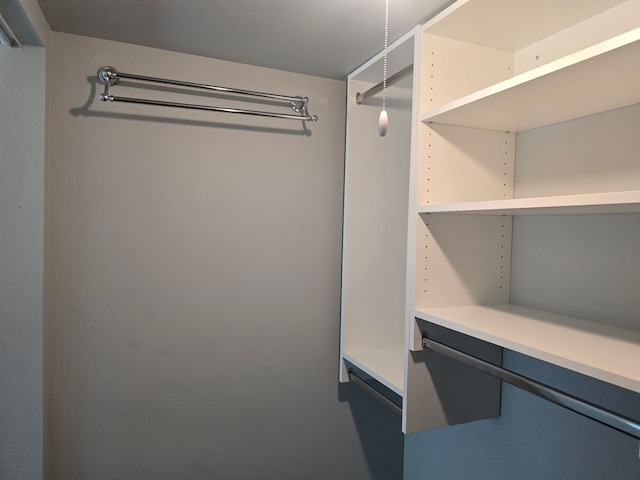4739 W 105th Pl Unit 101, Oak Lawn, IL 60453 - view of spacious closet