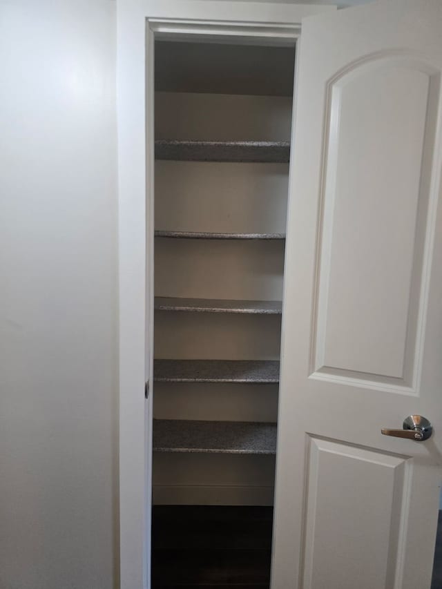 4739 W 105th Pl Unit 101, Oak Lawn, IL 60453 - view of closet