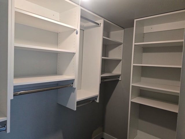4739 W 105th Pl Unit 101, Oak Lawn, IL 60453 - view of walk in closet