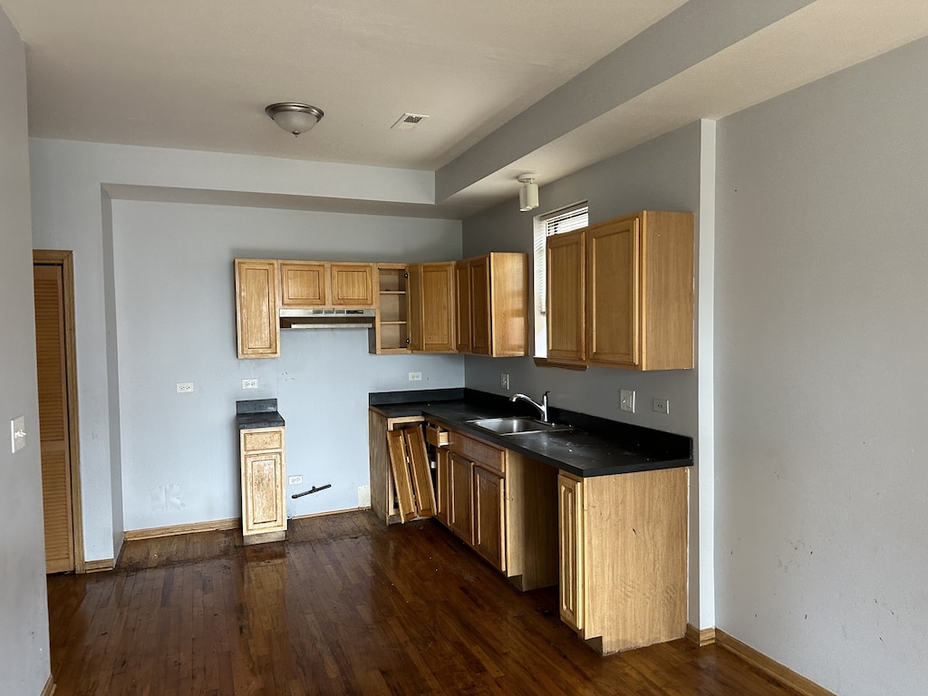 4036 W Gladys Ave, Chicago, IL 60624 - kitchen with a sink, under cabinet range hood, dark countertops, and dark wood finished floors